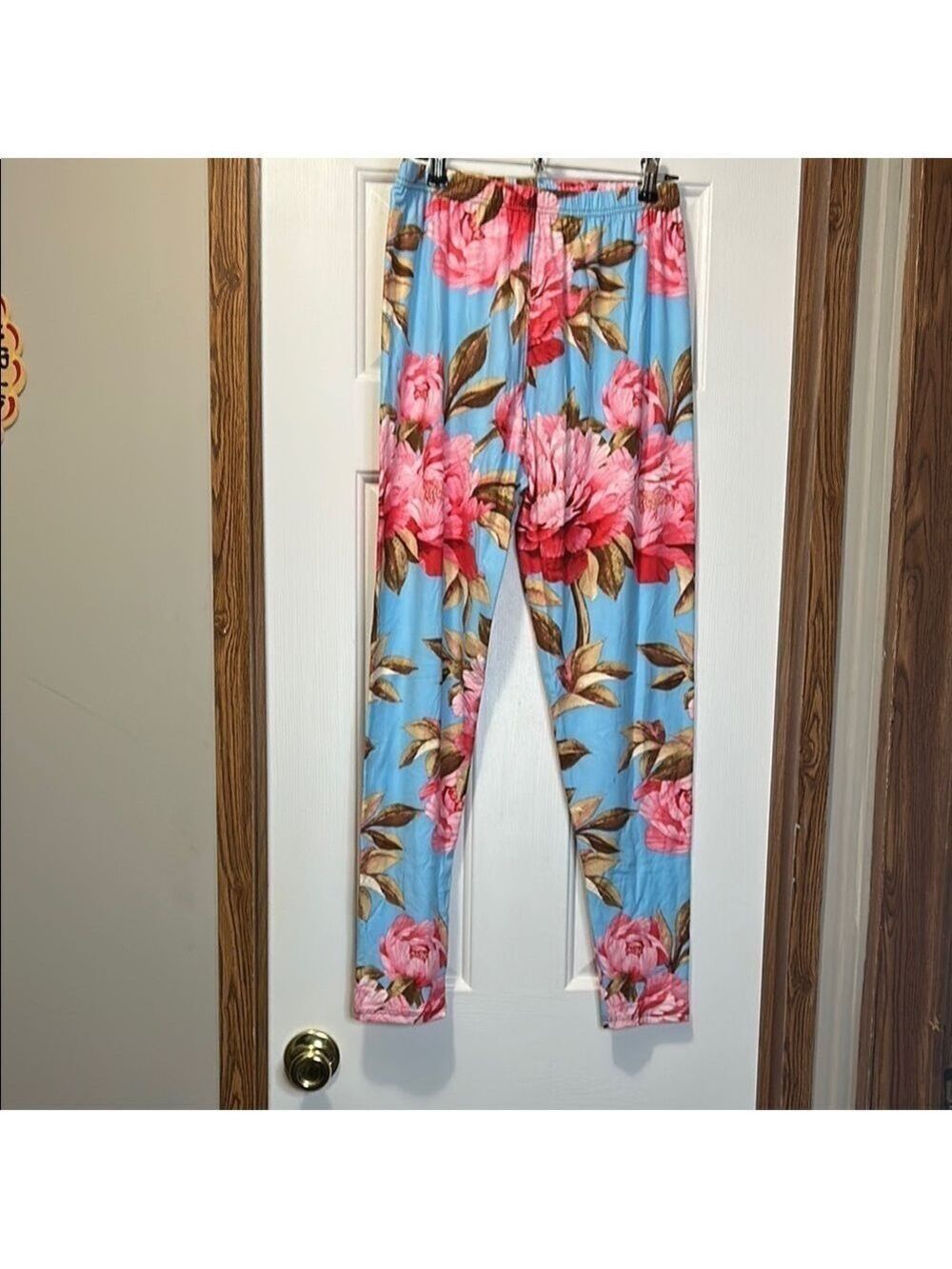 Agnes & Dora Floral Leggings - Blue and Pink NWT